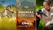「Magic of Disney's Animal Kingdom ディズニー・アニマルキングダムの魔法」ビジュアル (c)2020 Disney and its related entities