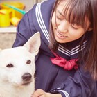 欅坂46小林由依が犬をもふもふ、「さくら」新カット4点