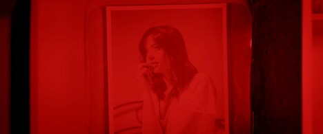 「ウッドランド」