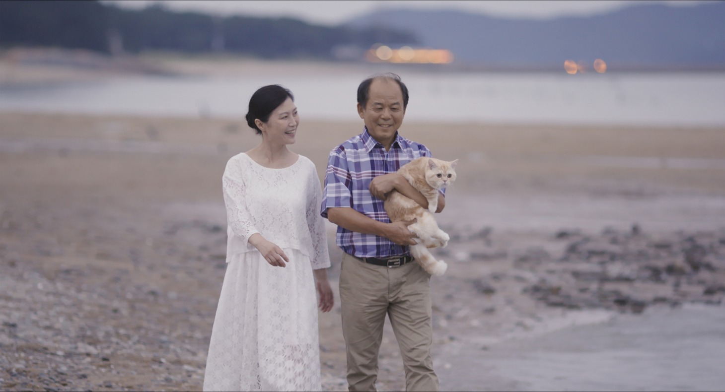 「私と猫のサランヘヨ」