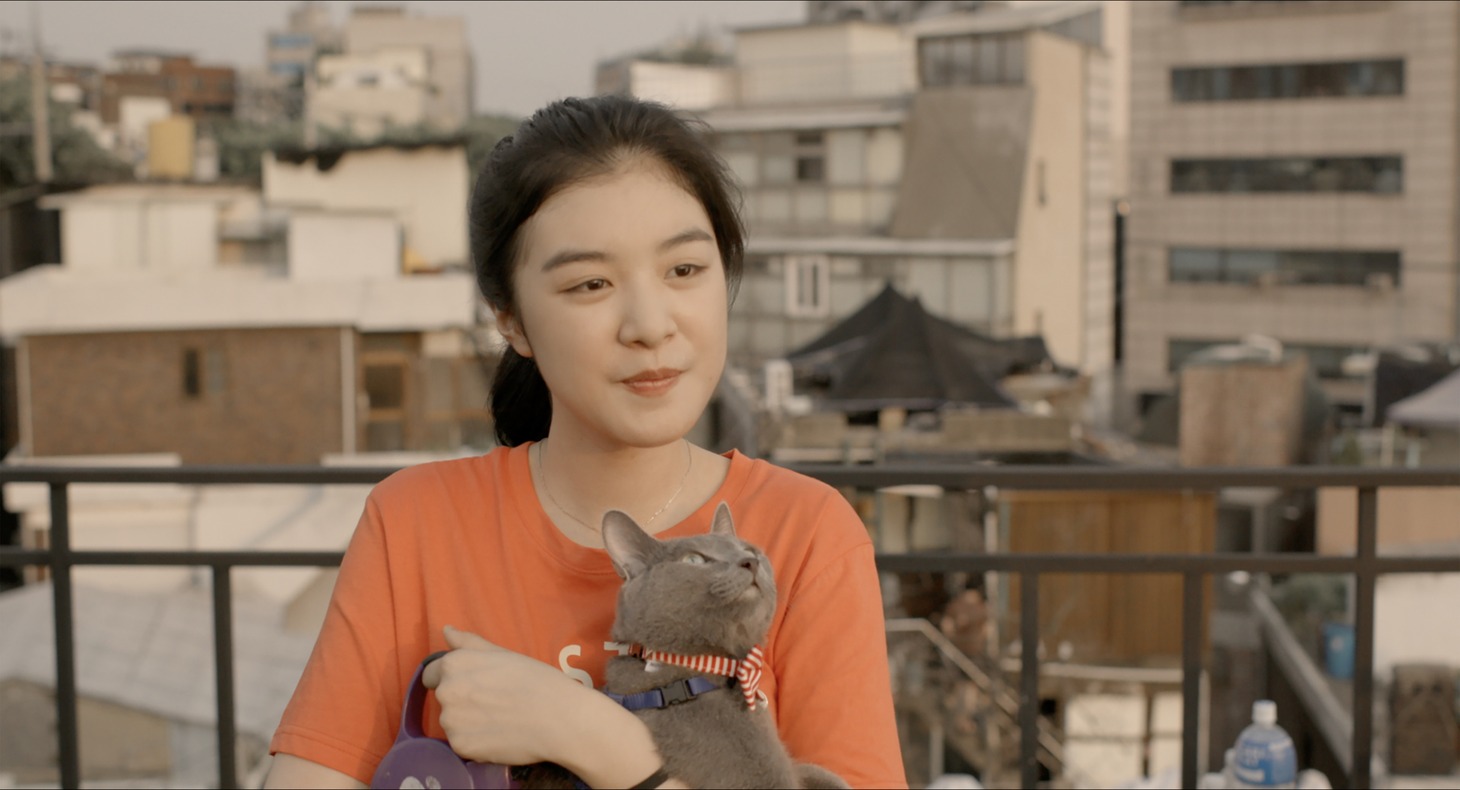 「私と猫のサランヘヨ」