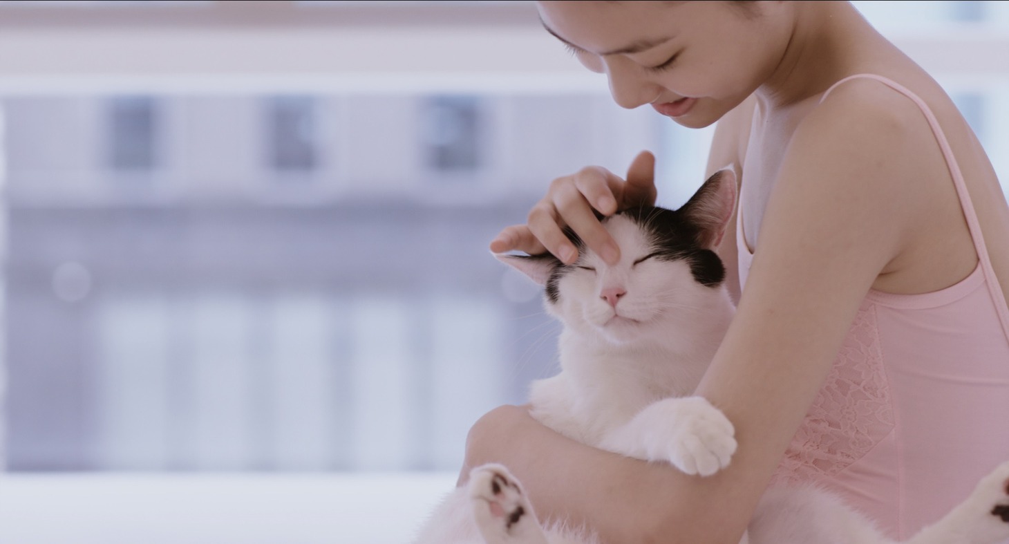「私と猫のサランヘヨ」