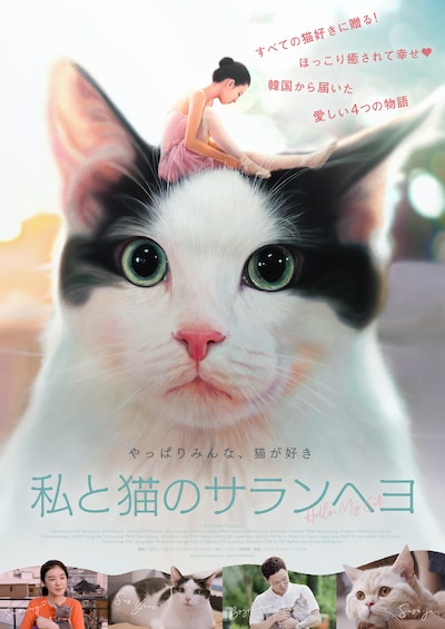 「私と猫のサランヘヨ」ビジュアル