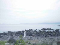 「アポトーシス」