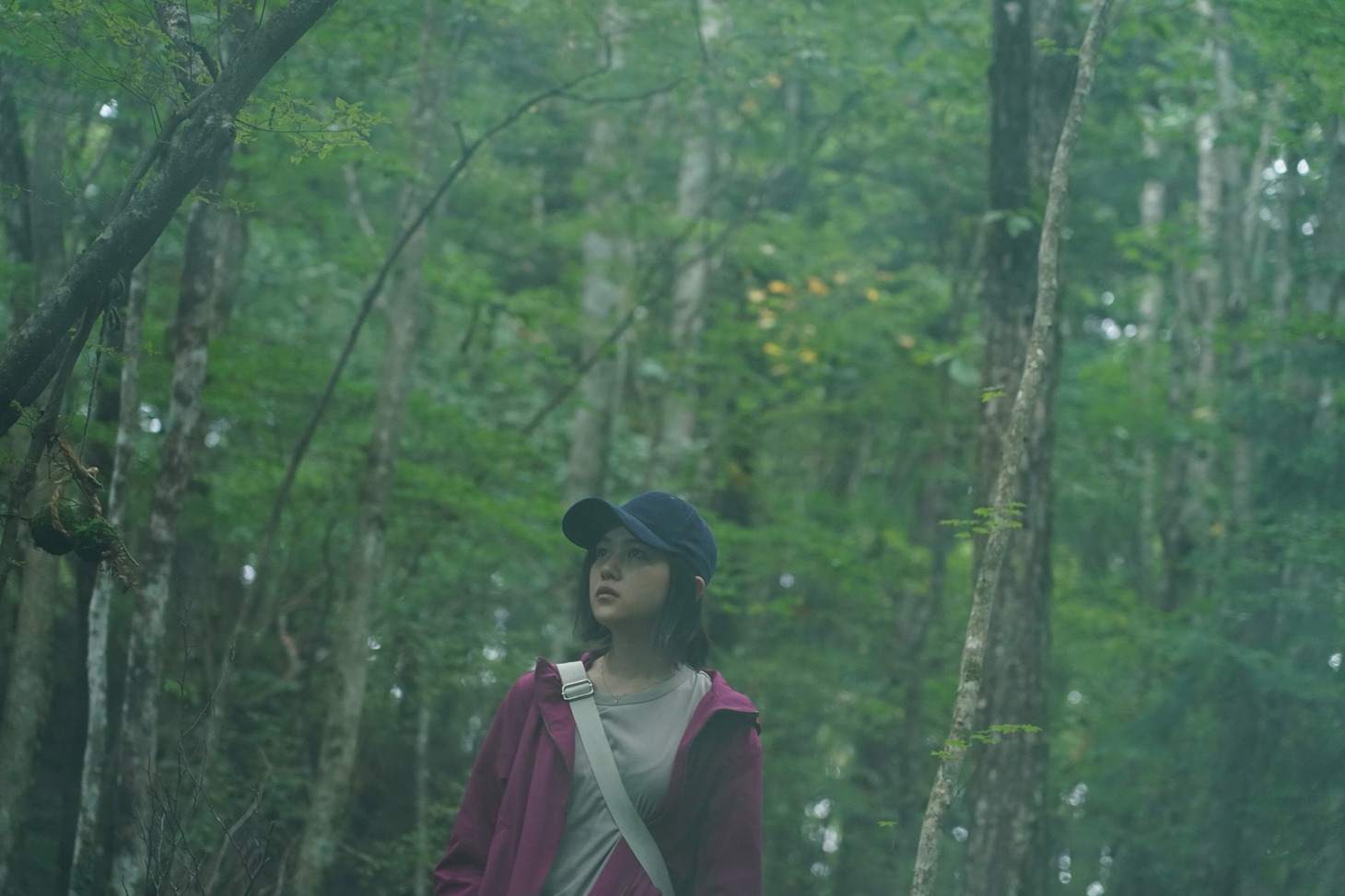 「樹海村」