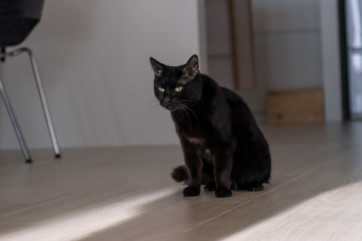 「空に住む」より、りんご演じるハル。