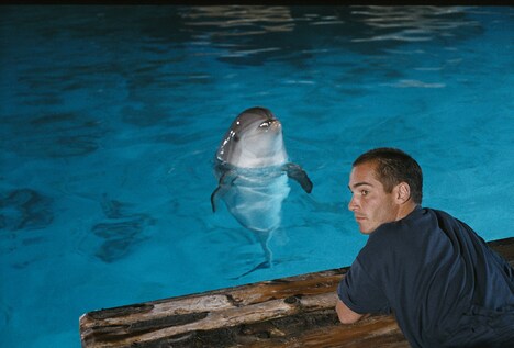 「グラン・ブルー完全版」 (c)1988 GAUMONT