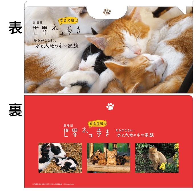 ムビチケ購入特典のマスクケース。