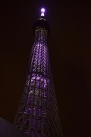 「この恋あたためますか」スペシャルカラーにライトアップされたスカイツリー。