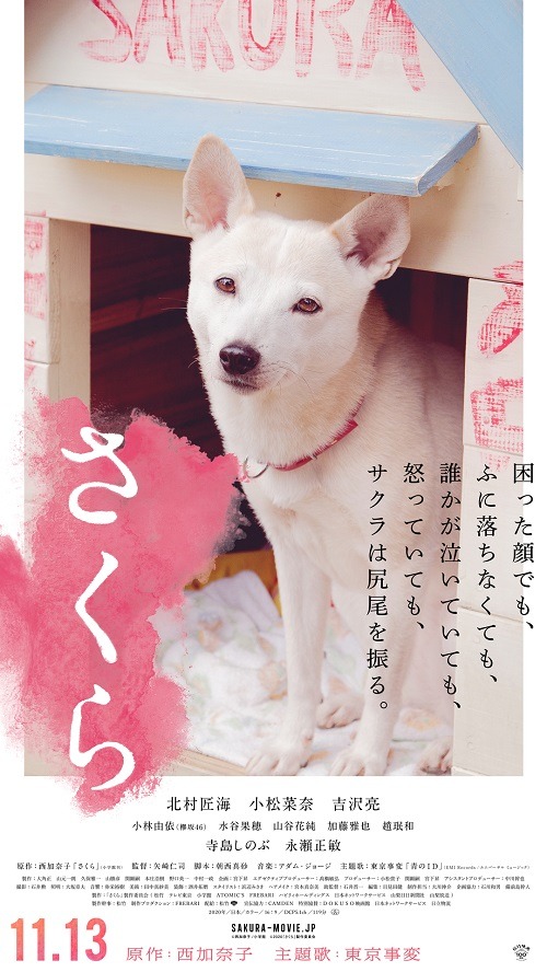愛犬サクラのキャラクターポスター。
