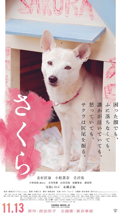 愛犬サクラのキャラクターポスター。