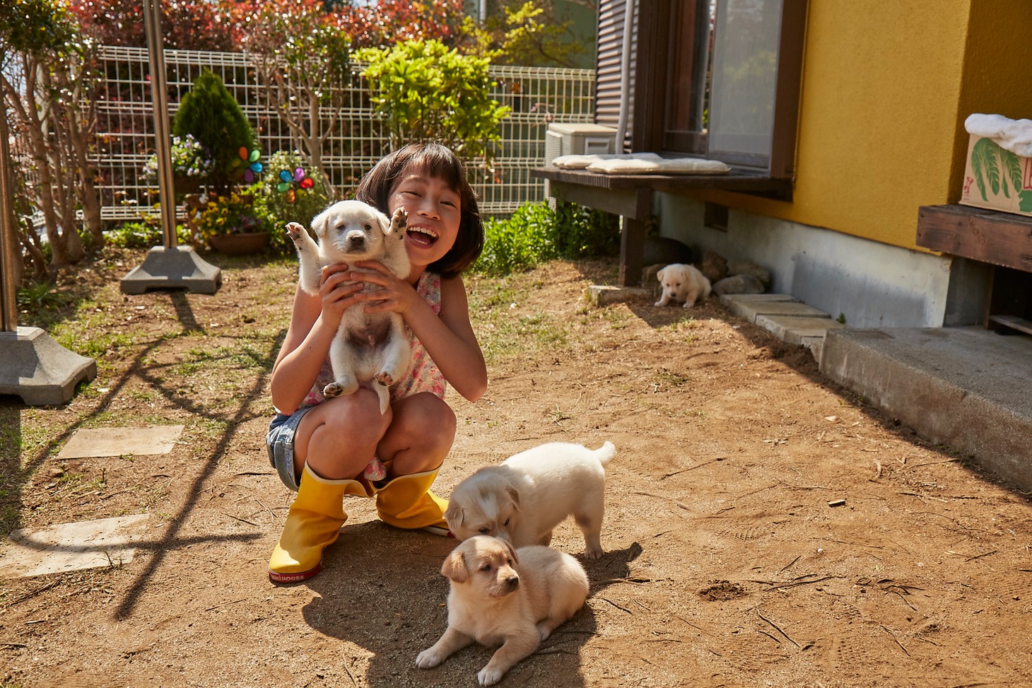 「さくら」メイキング写真