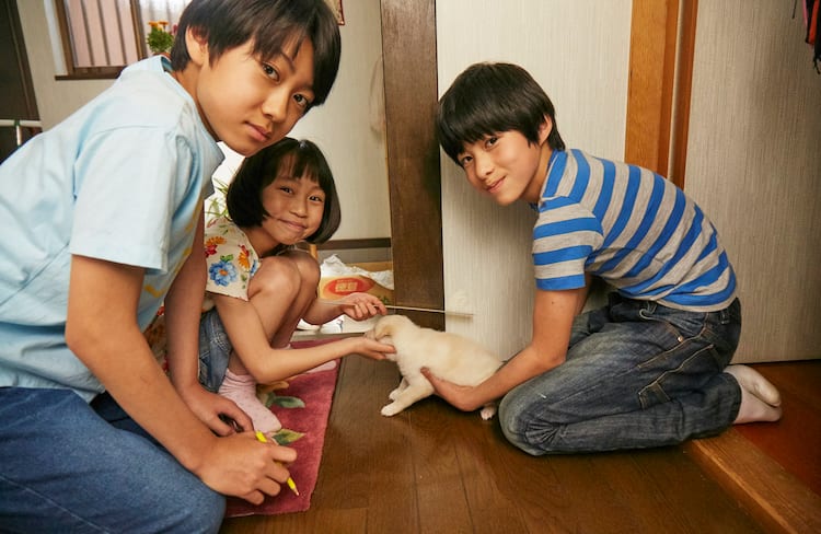 さくら」子役たちのメイキング写真到着、高橋曽良や佐藤大志が子犬囲む 