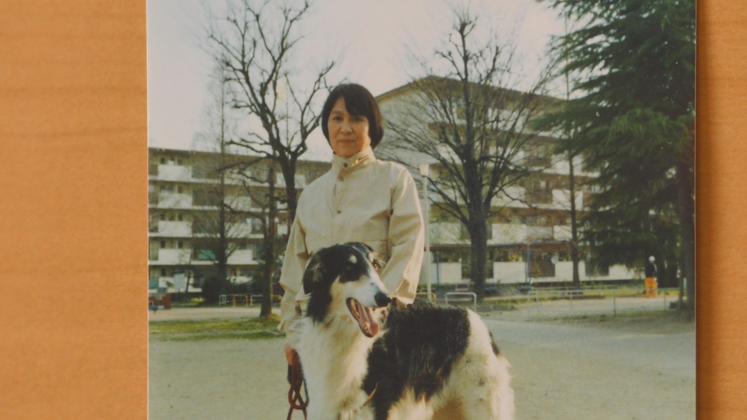 「調査屋マオさんの恋文」