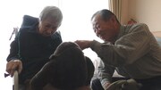 「調査屋マオさんの恋文」