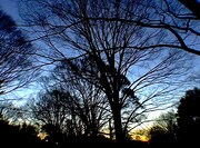 「眠り姫（サラウンドリマスター版）」