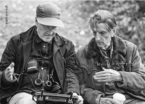 「夢みる部屋」中面サンプル