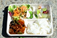 取材日に振る舞われたケータリングのランチ。