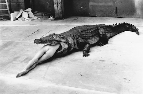 「Crocodile, Wuppertal, 1983」 (c) Foto Helmut Newton, Helmut Newton Estate Courtesy Helmut Newton Foundation