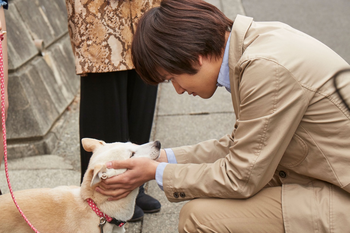 「さくら」メイキング写真。犬のちえとじゃれ合う北村匠海。