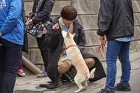 「さくら」メイキング写真。犬のちえとじゃれ合う北村匠海。