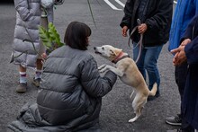 「さくら」メイキング写真。犬のちえとじゃれ合う小松菜奈。