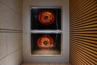 東京都現代美術館で開催中の「石岡瑛子 血が、汗が、涙がデザインできるか」より、「ドラキュラ」日本版ポスター。