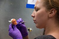 「ミッシング・リンク 英国紳士と秘密の相棒」メイキング写真