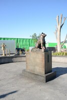 「今際の国のアリス」のセット。