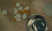 「Eggs 選ばれたい私たち」
