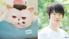 神木隆之介が猫になる!「おじさまと猫」ふくまるに命吹き込む、草刈正雄は笑顔で拍手