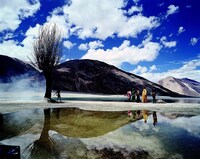 「落下の王国」