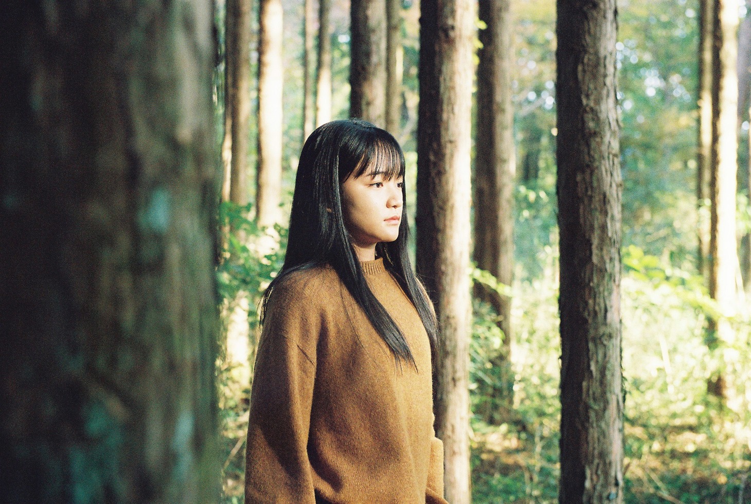 「A Walk in the Woods」