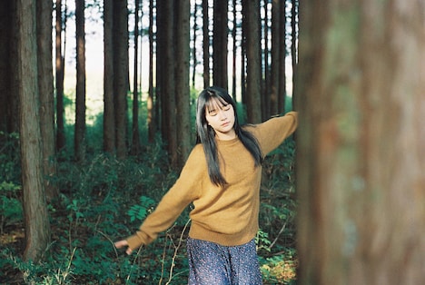 「A Walk in the Woods」