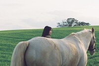 「A Walk in the Woods」