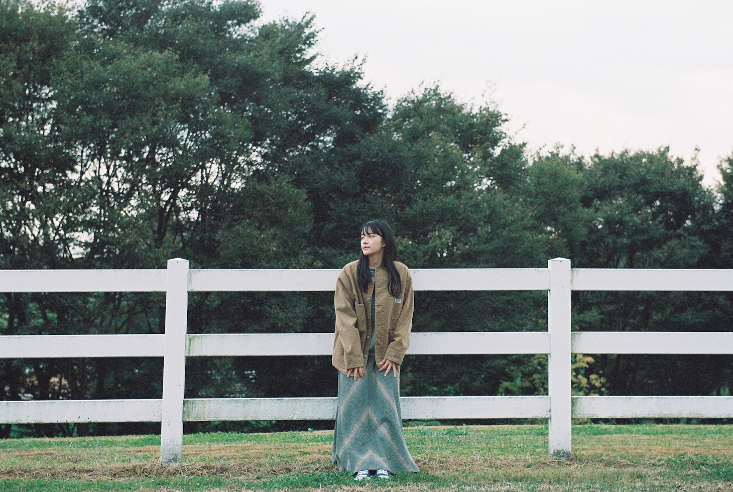 「A Walk in the Woods」
