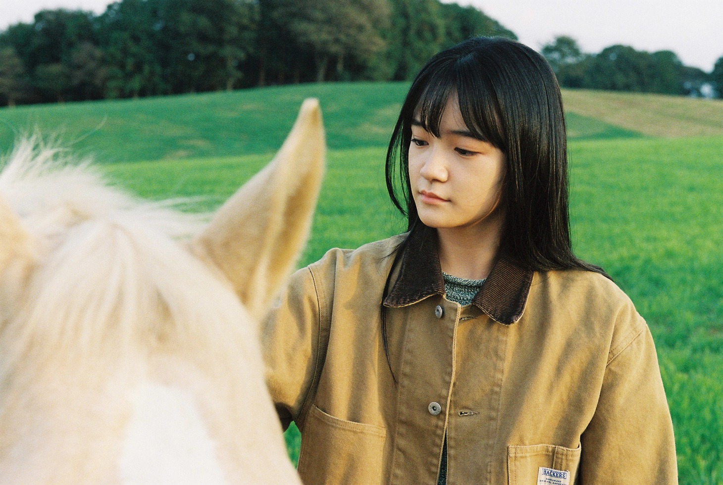 「A Walk in the Woods」