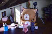 「こまねこ」新作ショートアニメの撮影の様子。