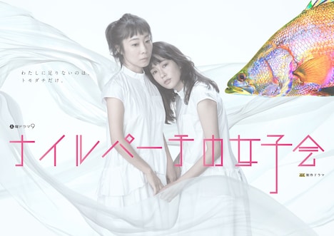 「ナイルパーチの女子会」ポスタービジュアル