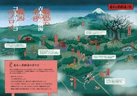 「樹海村」チラシ中面（青木ヶ原樹海の歩き方）