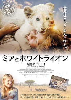 もふもふの赤ちゃんライオンが歩く ミアとホワイトライオン 特別映像 映画ナタリー