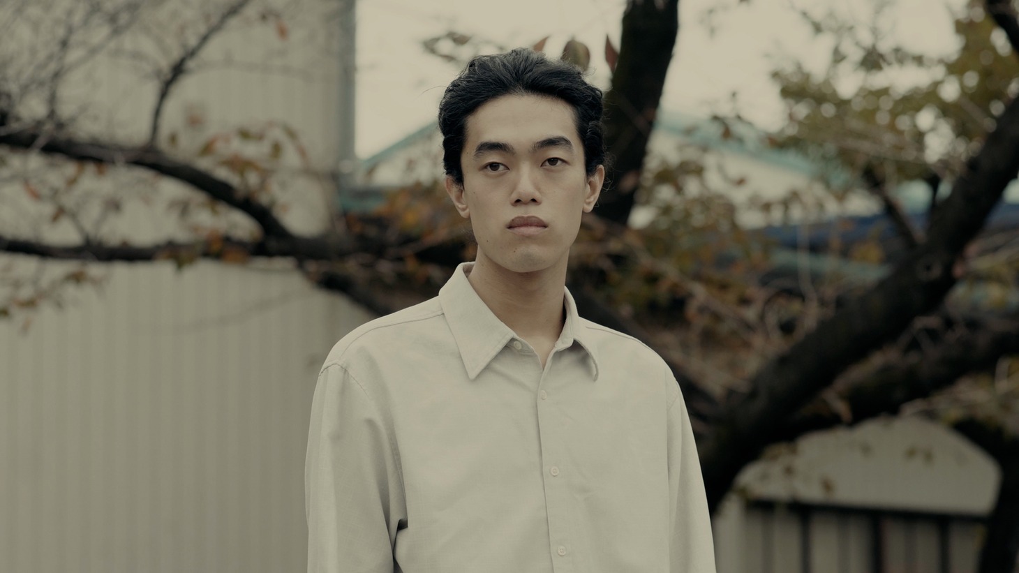 「アリスの住人」