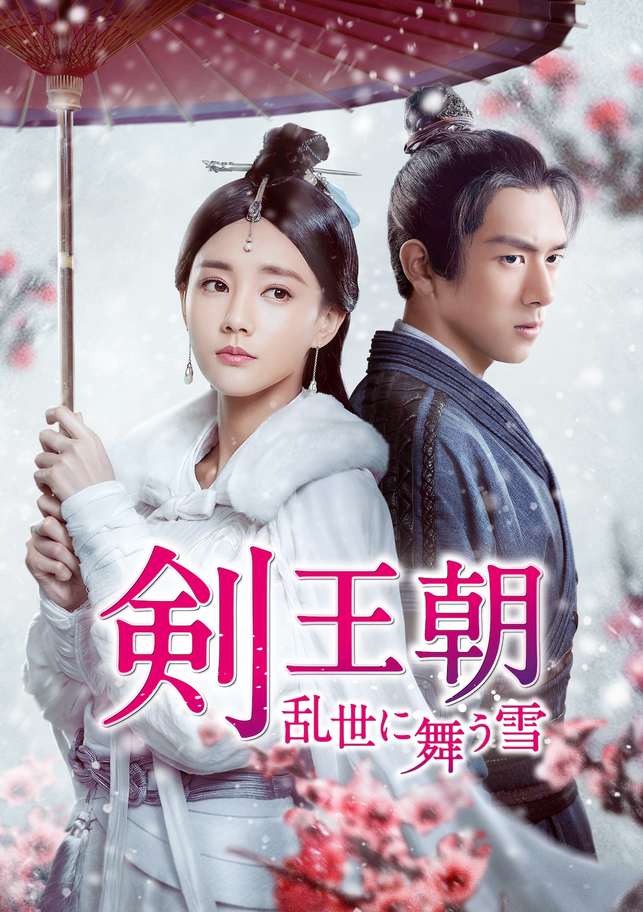 「剣王朝～乱世に舞う雪～」ビジュアル