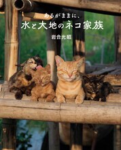 写真集「劇場版 岩合光昭の世界ネコ歩き あるがままに、水と大地のネコ家族」書影 (c)Mitsuaki Iwago