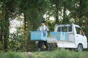 「種まく旅人~華蓮のかがやき~」