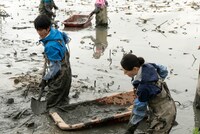 「種まく旅人～華蓮のかがやき～」