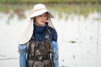 「種まく旅人～華蓮のかがやき～」