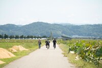 「種まく旅人～華蓮のかがやき～」