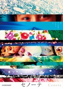 「セノーテ」ビジュアル