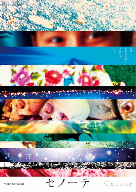 「セノーテ」ビジュアル